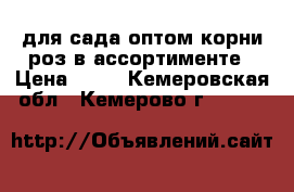 для сада оптом корни роз в ассортименте › Цена ­ 40 - Кемеровская обл., Кемерово г.  »    